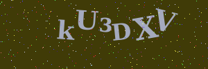 Validation image