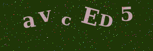 Validation image