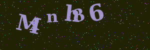 Validation image