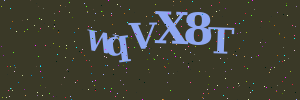 Validation image