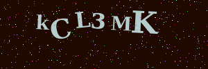 Validation image