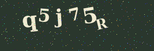 Validation image