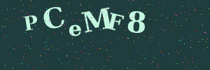 Validation image