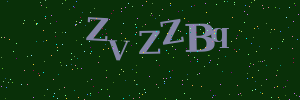 Validation image