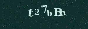 Validation image