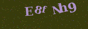 Validation image