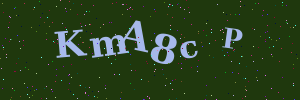 Validation image