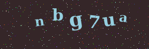 Validation image