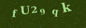 Validation image