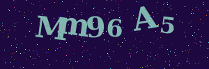 Validation image