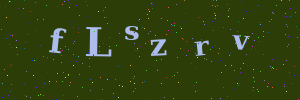 Validation image