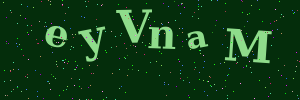 Validation image