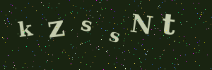 Validation image