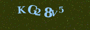 Validation image