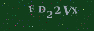 Validation image