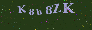 Validation image