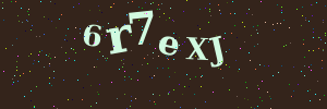 Validation image