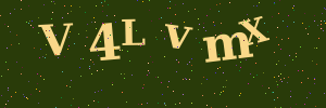Validation image