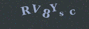 Validation image