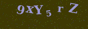 Validation image