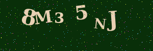 Validation image