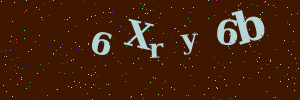 Validation image