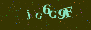 Validation image