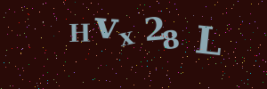 Validation image