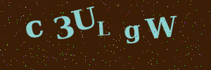 Validation image