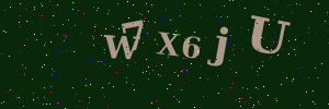 Validation image