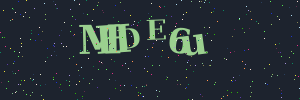 Validation image