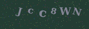 Validation image