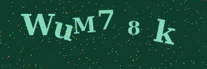 Validation image