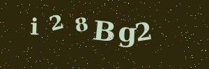 Validation image