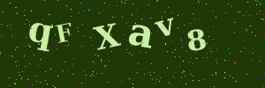 Validation image