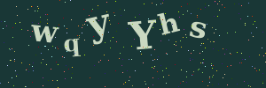 Validation image