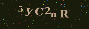 Validation image
