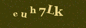 Validation image