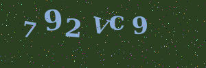 Validation image
