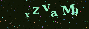 Validation image