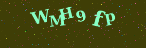 Validation image