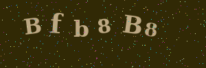 Validation image