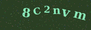 Validation image