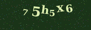 Validation image
