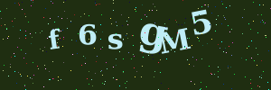 Validation image