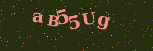 Validation image