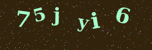 Validation image