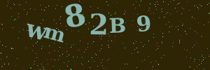 Validation image