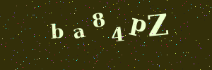 Validation image