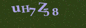 Validation image